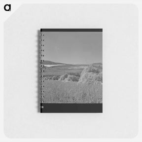 アートメモ帳-Oats, Park County, Montana
 - ラッセル リー Memo.