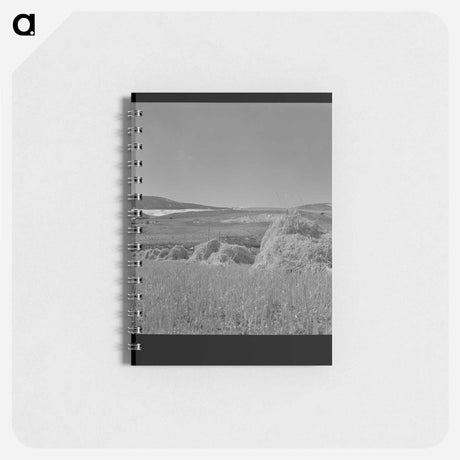 アートメモ帳-Oats, Park County, Montana
 - ラッセル リー Memo.