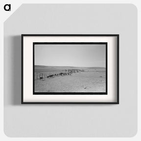 アートポスター-Cattle Roundup Near Marfa
 - ラッセル リー Poster.