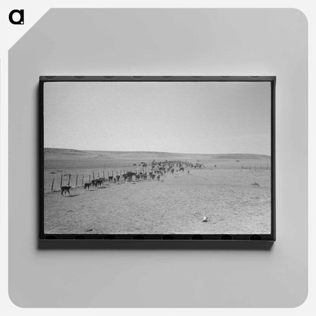 アートパネル-Cattle Roundup Near Marfa
 - ラッセル リー Canvas.