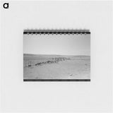アートメモ帳-Cattle Roundup Near Marfa
 - ラッセル リー Memo.