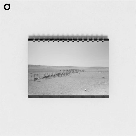 アートメモ帳-Cattle Roundup Near Marfa
 - ラッセル リー Memo.