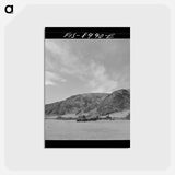 アートポストカード-Driving Cattle in Madison Valley
 - ラッセル リー Postcard.