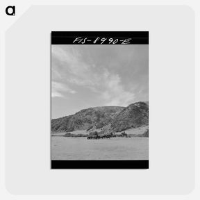 アートポストカード-Driving Cattle in Madison Valley
 - ラッセル リー Postcard.