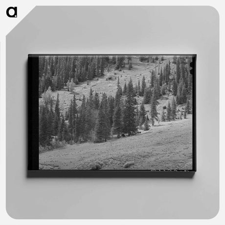 アートパネル-Sheepherders Camp, San Juan County
 - ラッセル リー Canvas.