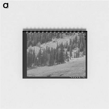 アートメモ帳-Sheepherders Camp, San Juan County
 - ラッセル リー Memo.