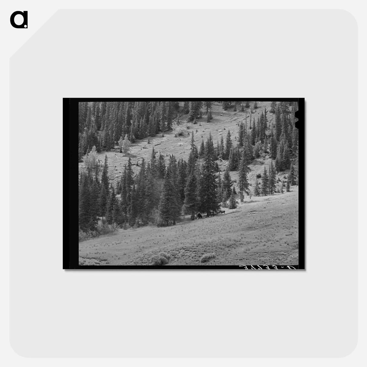 アートポストカード-Sheepherders Camp, San Juan County
 - ラッセル リー Postcard.