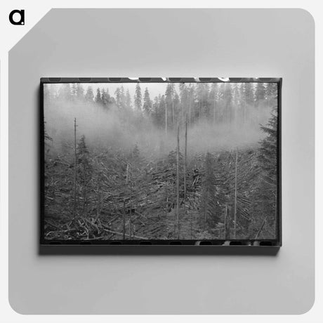 アートパネル-Long Bell Lumber Holdings
 - ラッセル リー Canvas.