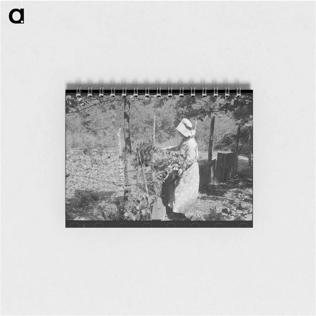 アートメモ帳-Tenant Farmer Feeding Hogs
 - ラッセル リー Memo.