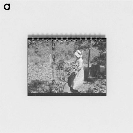 アートメモ帳-Tenant Farmer Feeding Hogs
 - ラッセル リー Memo.
