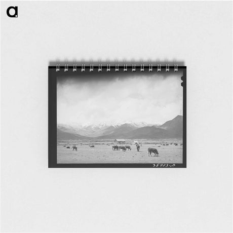 アートメモ帳-Cows in Pasture, Heber, Utah
 - ラッセル リー Memo.