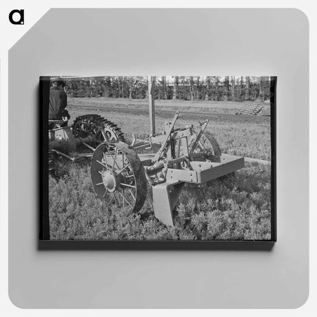 アートパネル-Guayule Nursery Digger Demonstration
 - ラッセル リー Canvas.
