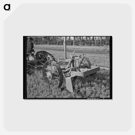 アートポストカード-Guayule Nursery Digger Demonstration
 - ラッセル リー Postcard.
