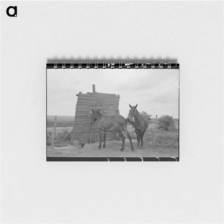 アートメモ帳-Southeast Missouri Windbreak
 - ラッセル リー Memo.