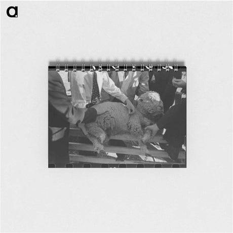 アートメモ帳-FSA Supervisor Examining Sheep
 - ラッセル リー Memo.