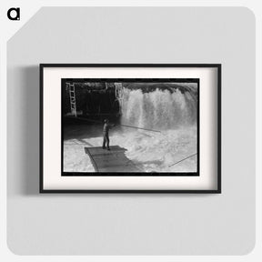 アートポスター-Indians Fishing for Salmon, Celilo Falls, Oregon
 - ラッセル リー Poster.