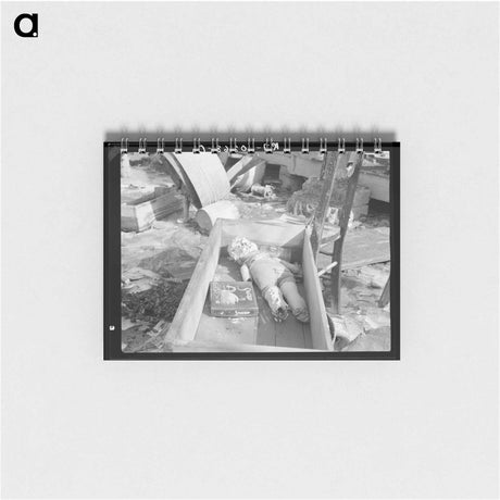 アートメモ帳-Doll and Furniture After the Flood
 - ラッセル リー Memo.