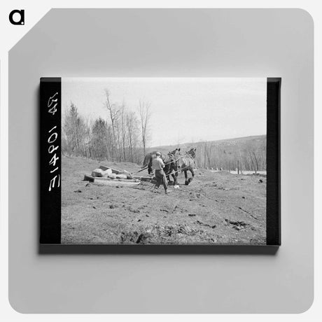 アートパネル-Stone Boat
 - ラッセル リー Canvas.