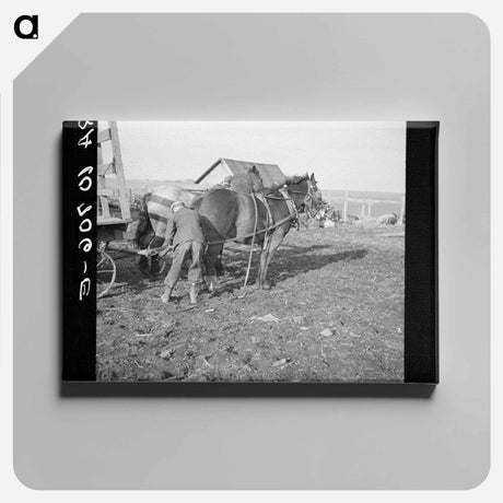 アートパネル-Tip Estes Hitching Horses
 - ラッセル リー Canvas.