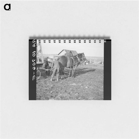 アートメモ帳-Tip Estes Hitching Horses
 - ラッセル リー Memo.