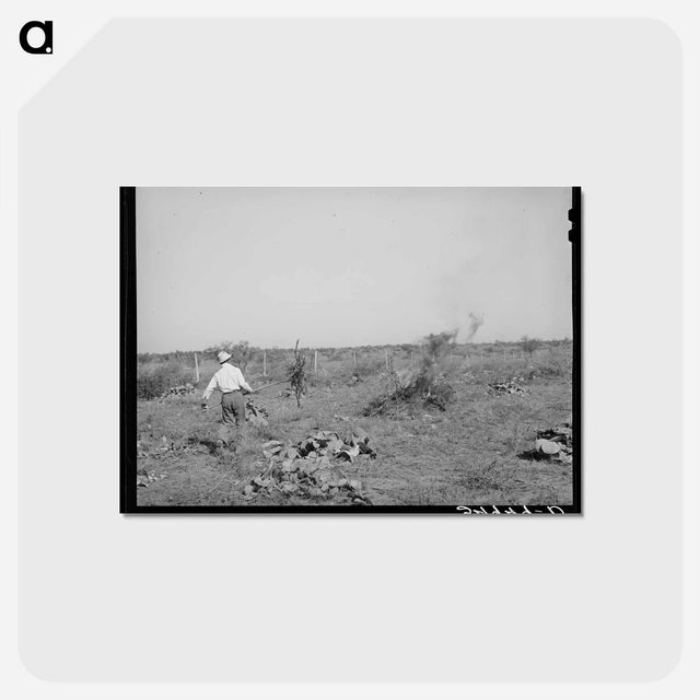 アートポストカード-Truck Farming Land
 - ラッセル リー Postcard.