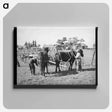 アートパネル-Harnessing Horses, Concho, Arizona
 - ラッセル リー Canvas.