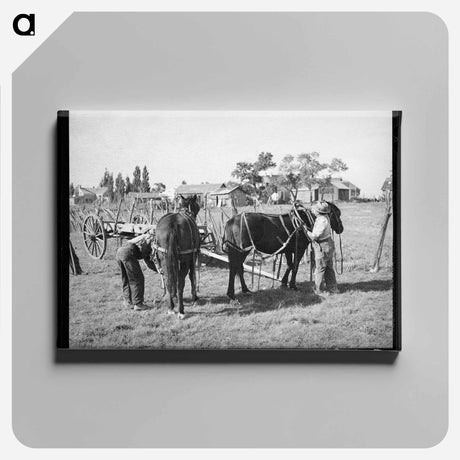 アートパネル-Harnessing Horses, Concho, Arizona
 - ラッセル リー Canvas.