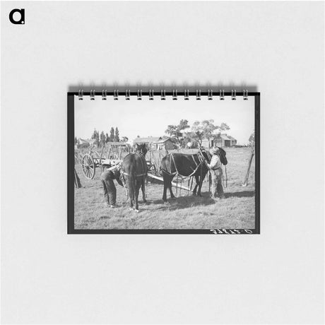 アートメモ帳-Harnessing Horses, Concho, Arizona
 - ラッセル リー Memo.