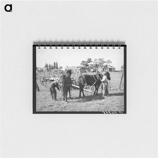 アートメモ帳-Harnessing Horses, Concho, Arizona
 - ラッセル リー Memo.