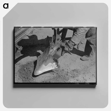 アートパネル-Plow Point, Ralls, Texas
 - ラッセル リー Canvas.