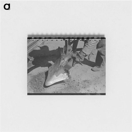 アートメモ帳-Plow Point, Ralls, Texas
 - ラッセル リー Memo.