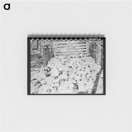 アートメモ帳-Fat Lambs in Corral
 - ラッセル リー Memo.