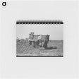 アートメモ帳-Sharecropper's Shed
 - ラッセル リー Memo.