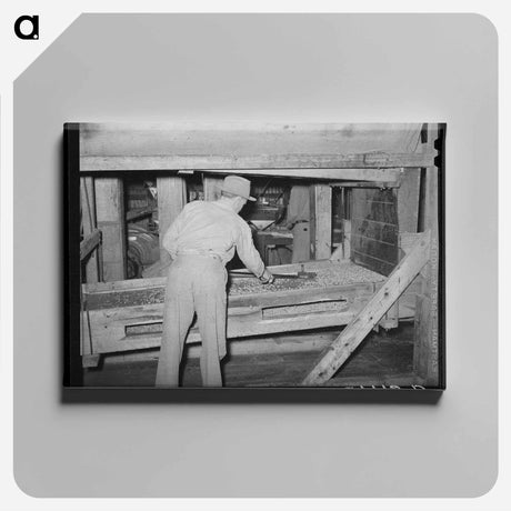 アートパネル-Peanut Shelling Plant Screens
 - ラッセル リー Canvas.
