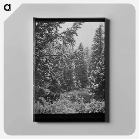 アートパネル-First Snow, Montana
 - ラッセル リー Canvas.
