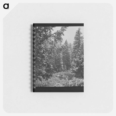 アートメモ帳-First Snow, Montana
 - ラッセル リー Memo.