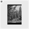 アートポストカード-First Snow, Montana
 - ラッセル リー Postcard.