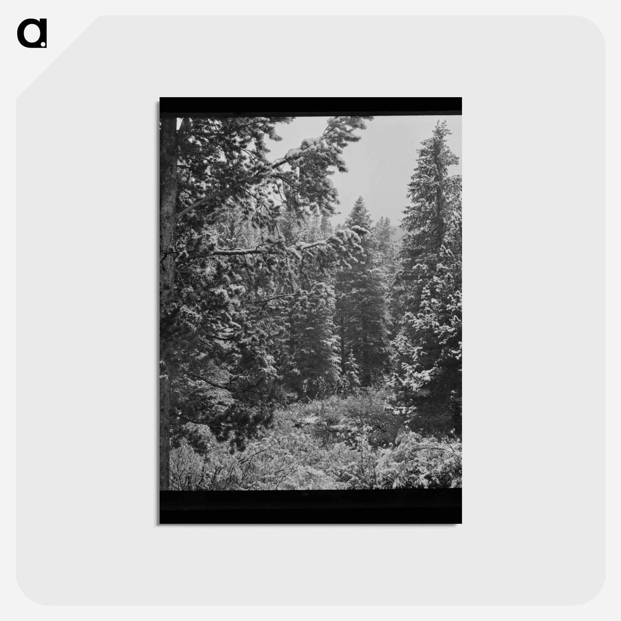 アートポストカード-First Snow, Montana
 - ラッセル リー Postcard.