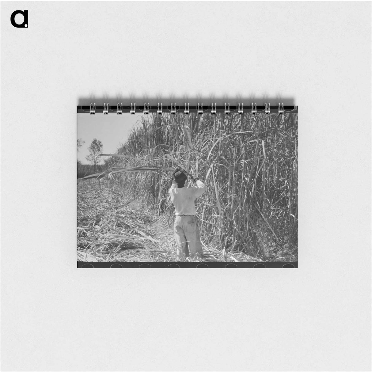 アートメモ帳-Cutting Sugarcane in Louisiana
 - ラッセル リー Memo.