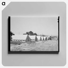 アートパネル-Migratory Labor Camp Tents
 - ラッセル リー Canvas.