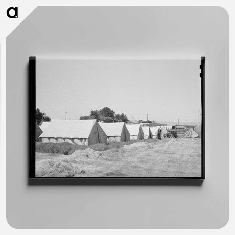 アートパネル-Migratory Labor Camp Tents
 - ラッセル リー Canvas.