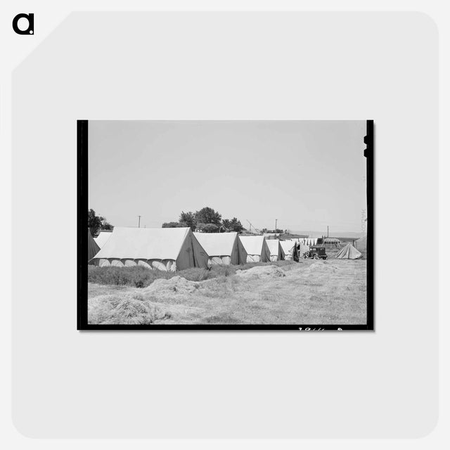 アートポストカード-Migratory Labor Camp Tents
 - ラッセル リー Postcard.