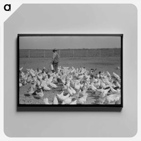 アートパネル-Mr. Milton's Chickens
 - ラッセル リー Canvas.