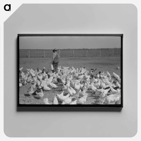 アートパネル-Mr. Milton's Chickens
 - ラッセル リー Canvas.
