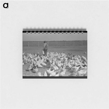 アートメモ帳-Mr. Milton's Chickens
 - ラッセル リー Memo.
