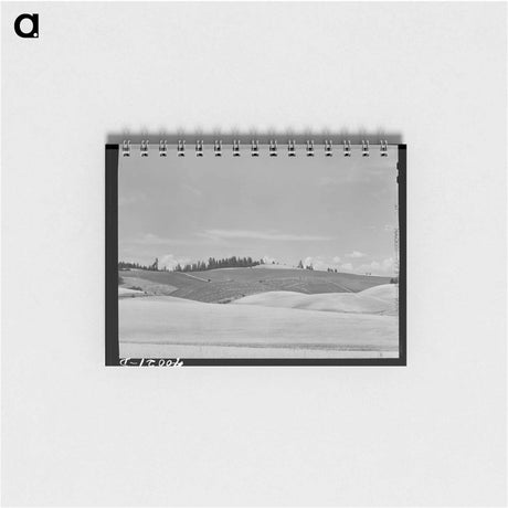 アートメモ帳-Wheat Field, Latah County
 - ラッセル リー Memo.