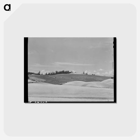 アートポストカード-Wheat Field, Latah County
 - ラッセル リー Postcard.