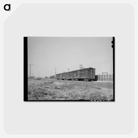 アートポストカード-Empty Cattle Cars
 - ラッセル リー Postcard.