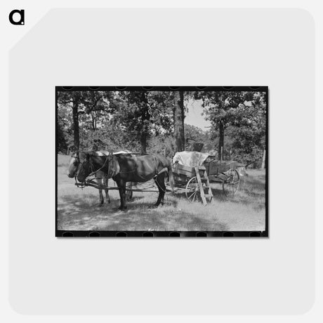 アートポストカード-McIntosh County Churchyard
 - ラッセル リー Postcard.