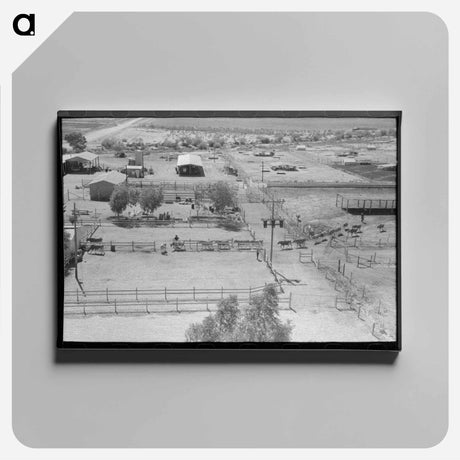 アートパネル-Dairy Cattle Drive
 - ラッセル リー Canvas.